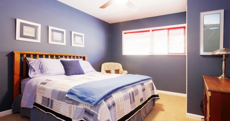 Bài viết nội dung demo 5